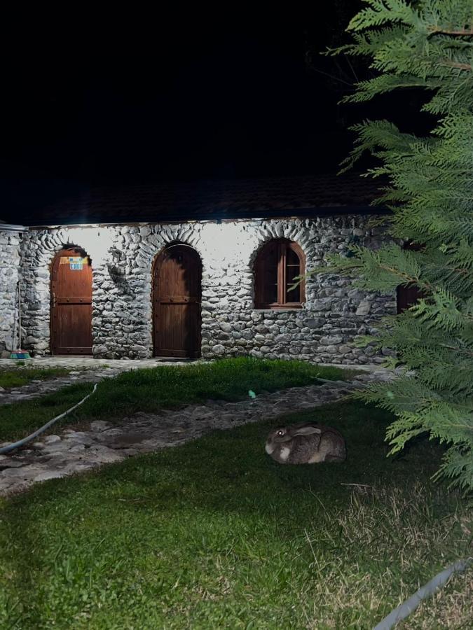 Windmill Shkodra Gesthouse Camping & Grill Bagian luar foto